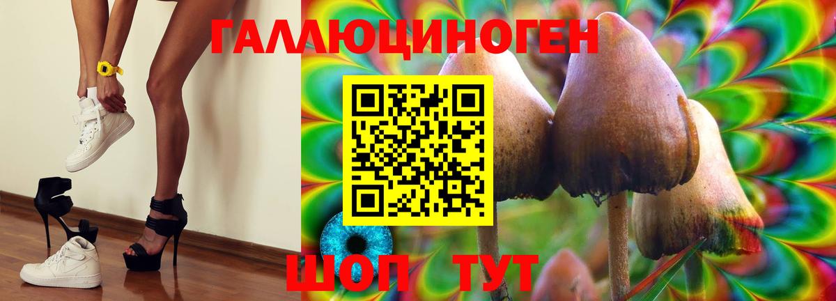 Псилоцибиновые грибы прущие грибы Калуга