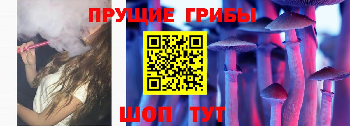 Псилоцибиновые грибы мицелий  Вход с VPN  Калуга 